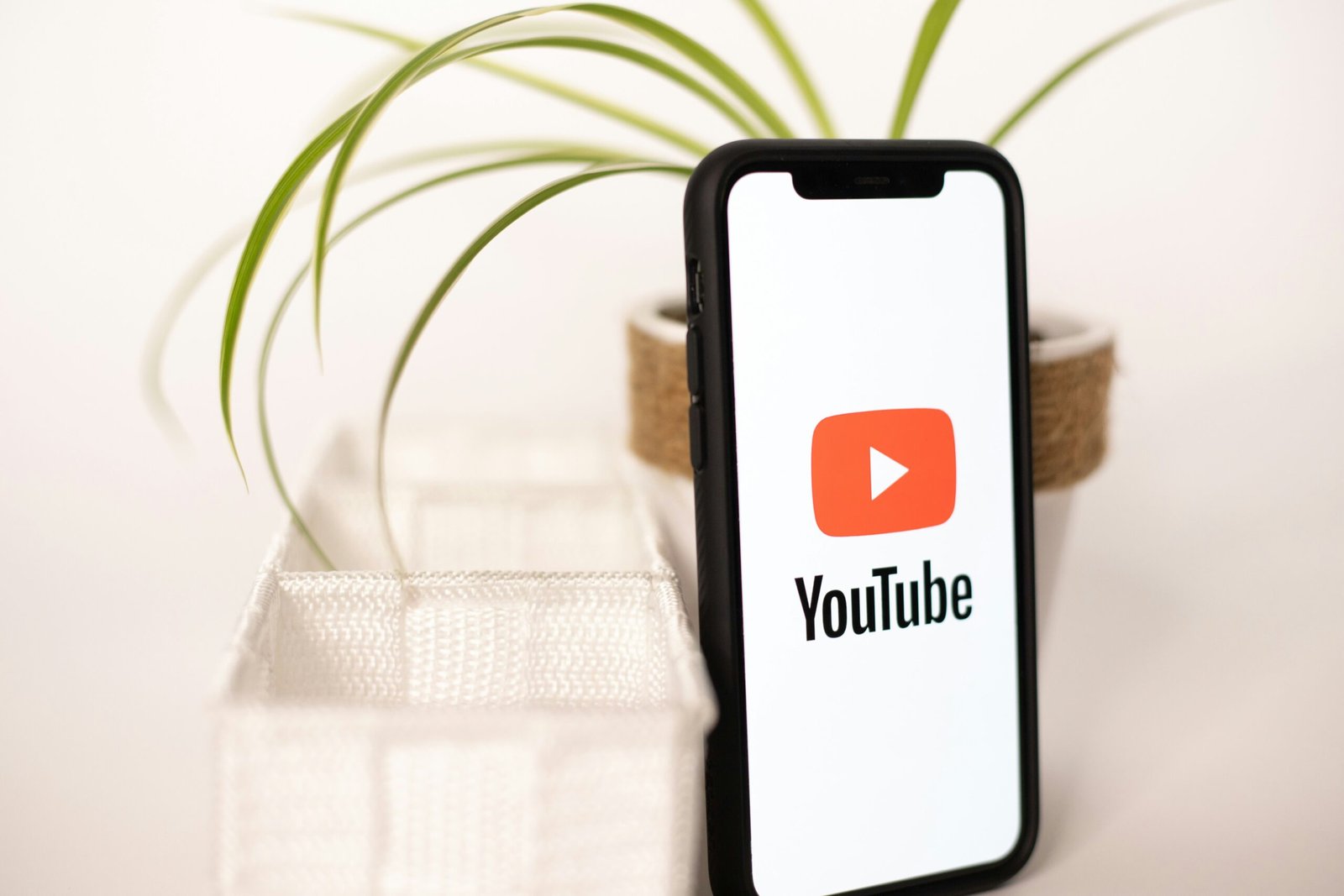 These New TikTok Features Aim to Make Text and Images More Accessible These New TikTok Features Aim to Make Text and Images More Accessible